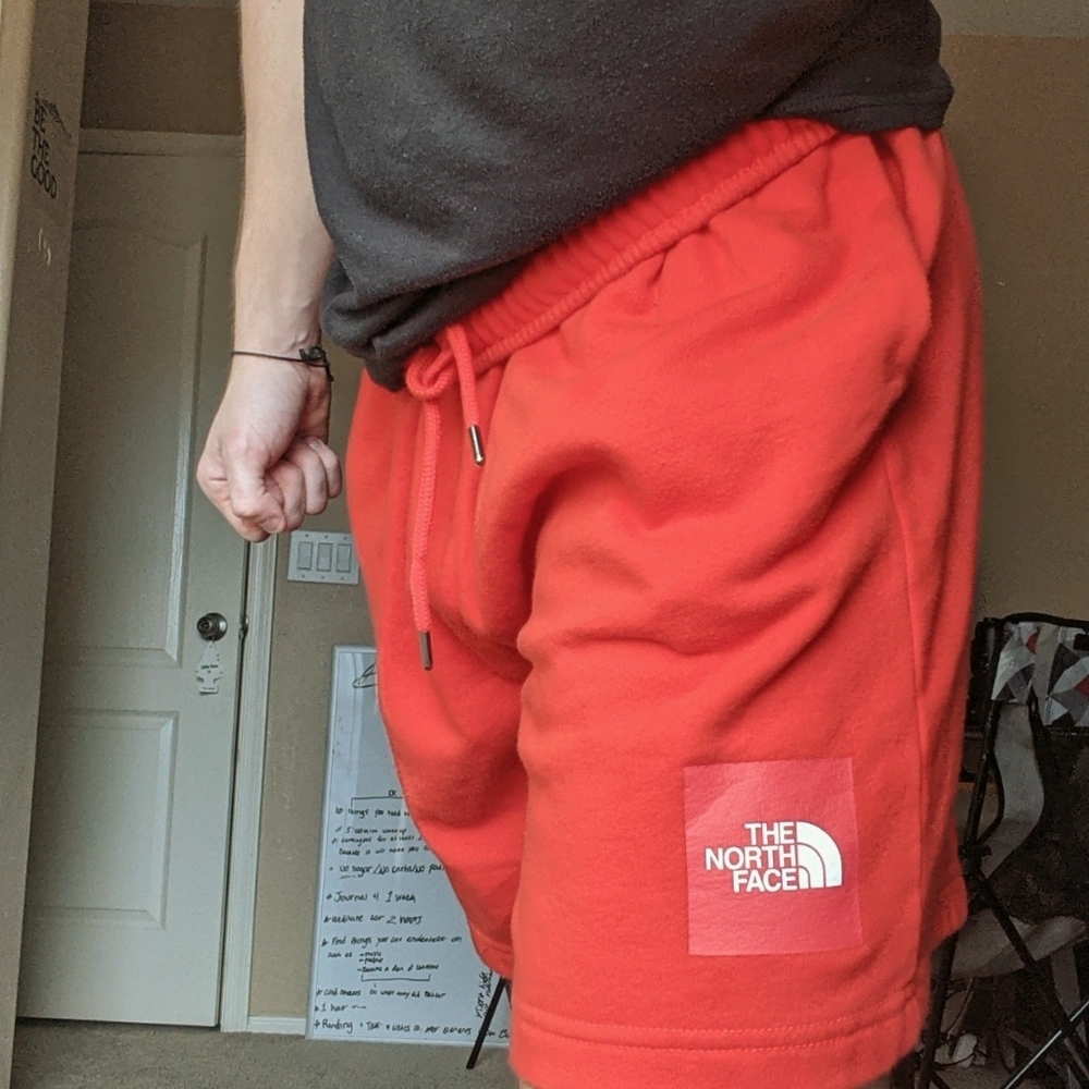 The North Face Shorts